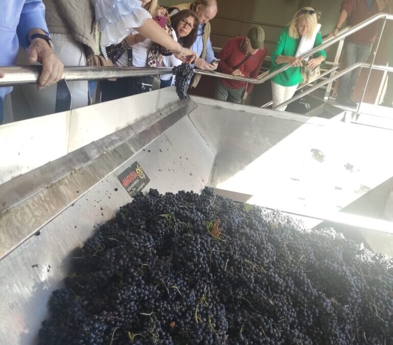 Bodega Viña Pedrosa: todo un referente de vinos de calidad