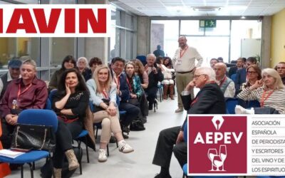 Como comunicar el VINO, conclusiones FENAVIN 2025