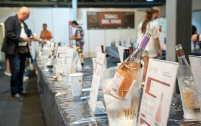 Túnel del Vino de Alicante Gastronómica