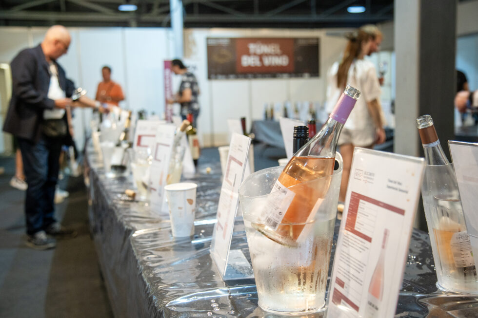 Túnel del Vino de Alicante Gastronómica